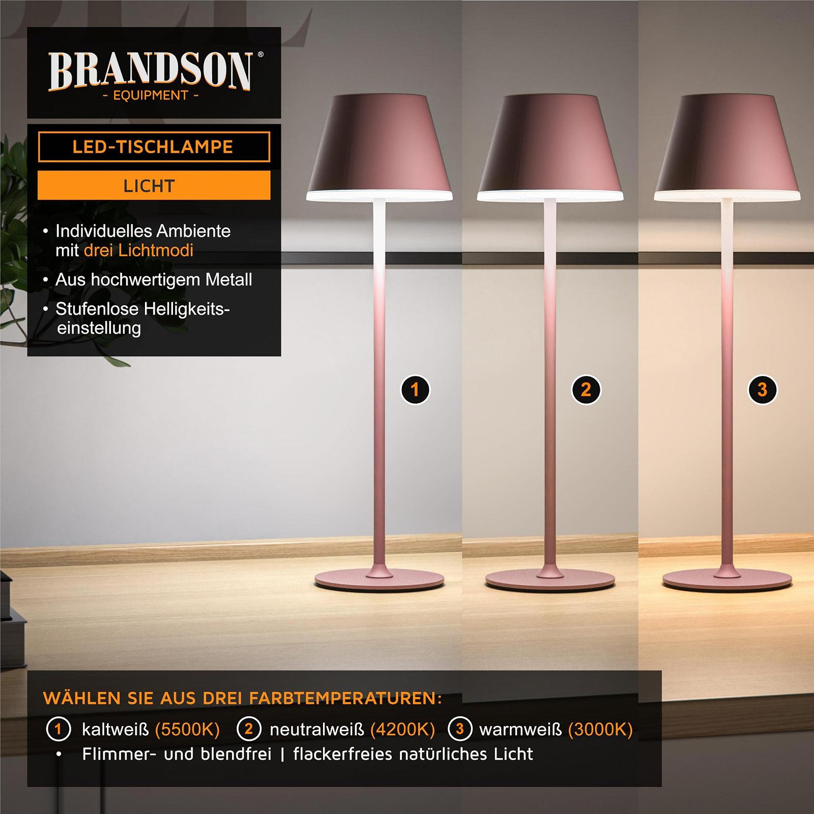 Настільна лампа Brandson LED Акумуляторна Touch Dimmable Метал IP54, фото №3