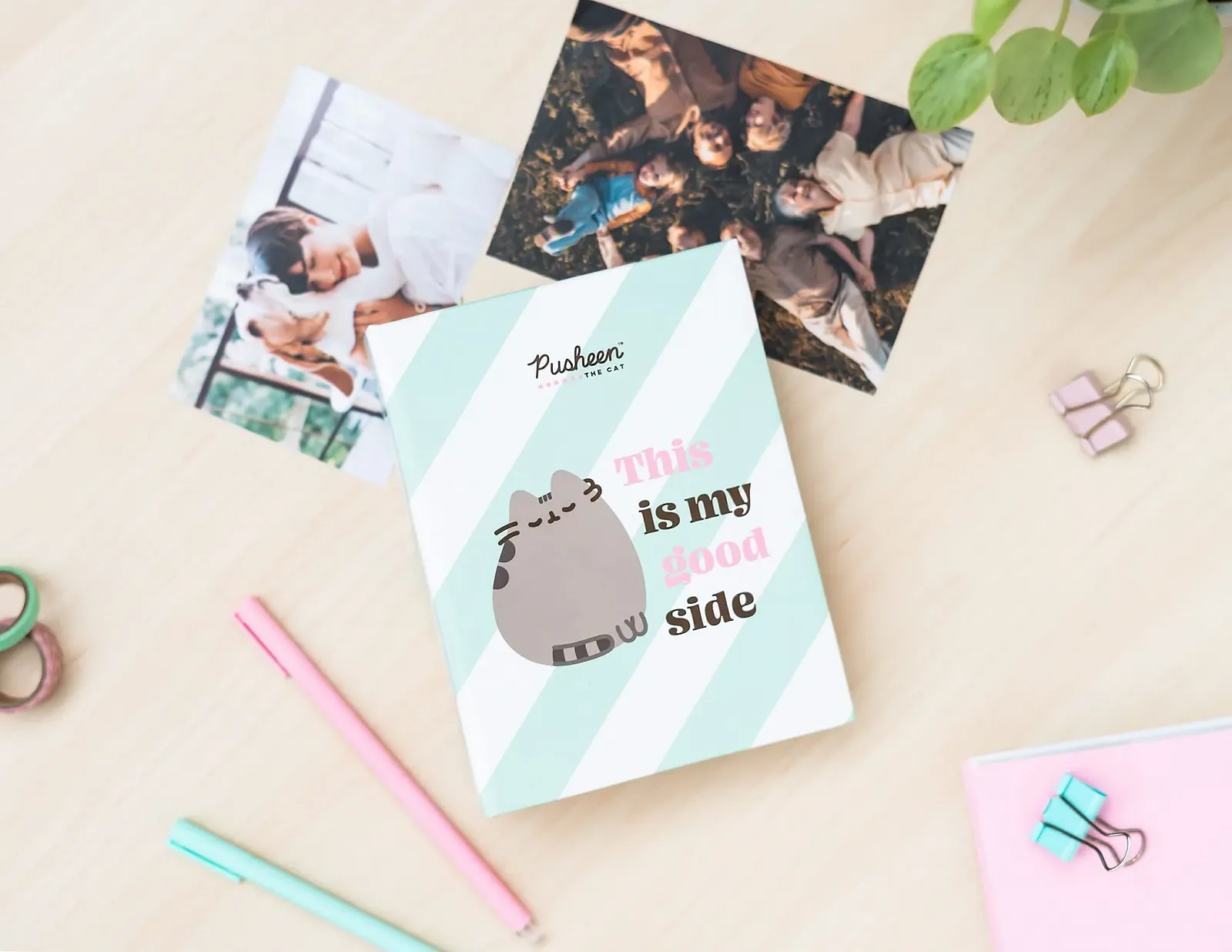 Фотоальбом Grupo Erik Вставной альбом 10 x 15 cm Pusheen Cat, фото №4 Фотоальбом Grupo Erik Вставной альбом 10 x 15 cm Pusheen Cat, фото №4