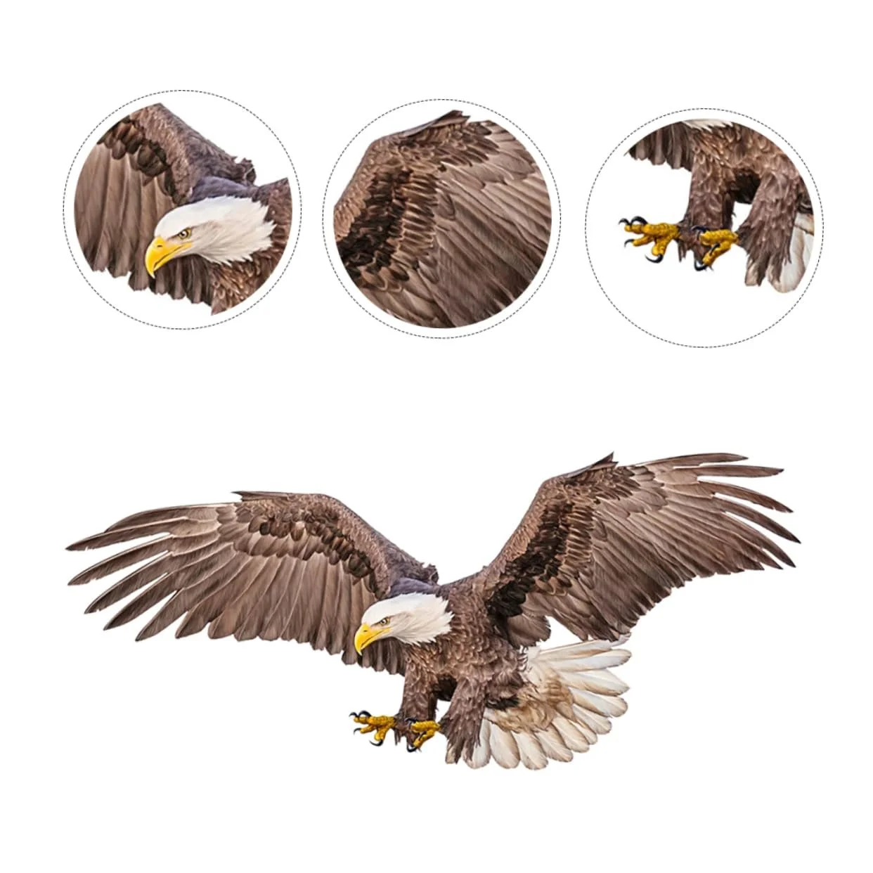 Наклейка на стіну PRETYZOOM American Eagle PVC, фото №9 Наклейка на стіну PRETYZOOM American Eagle PVC, фото №9