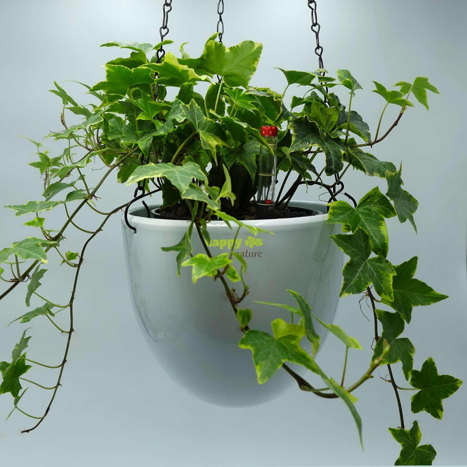 Підвісні кошики happy nature Venus 13/12 керамічні 17.5 х 15 см Білий, фото №2