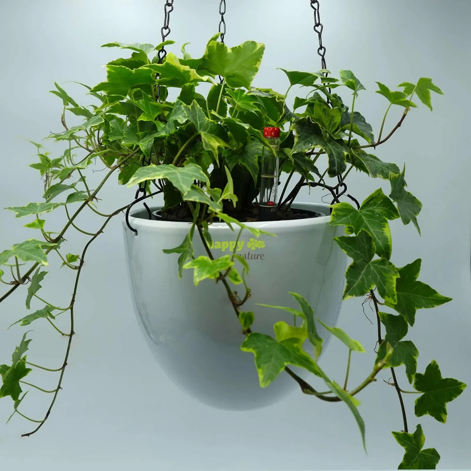 Подвесное кашпо happy nature Venus 13/12 керамическое гидро диаметр 17,5 см высота 15 см белое, фото №2