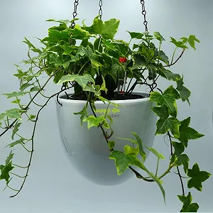 Подвесные корзины happy nature Venus 13/12 керамические 17.5 x 15 см Белый synthetic.ua - Фото 1