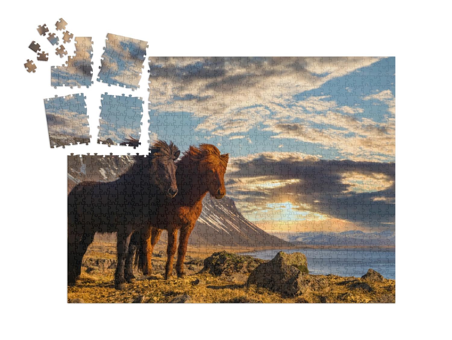 Пазл-адвент-календарь puzzleYOU Horse Puzzle Collection Two Iceland Horses on the Coast at Sunset 1000 элементов, фото №2