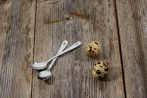 Ложка для перепелиных яиц с гравировкой 1 штука нержавеющая сталь модная ложка для перепелиных яиц synthetic.ua - Фото 1