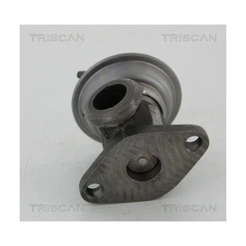 Клапан EGR TRISCAN 8813 29011 AUDI SEAT SKODA VW, фото №3