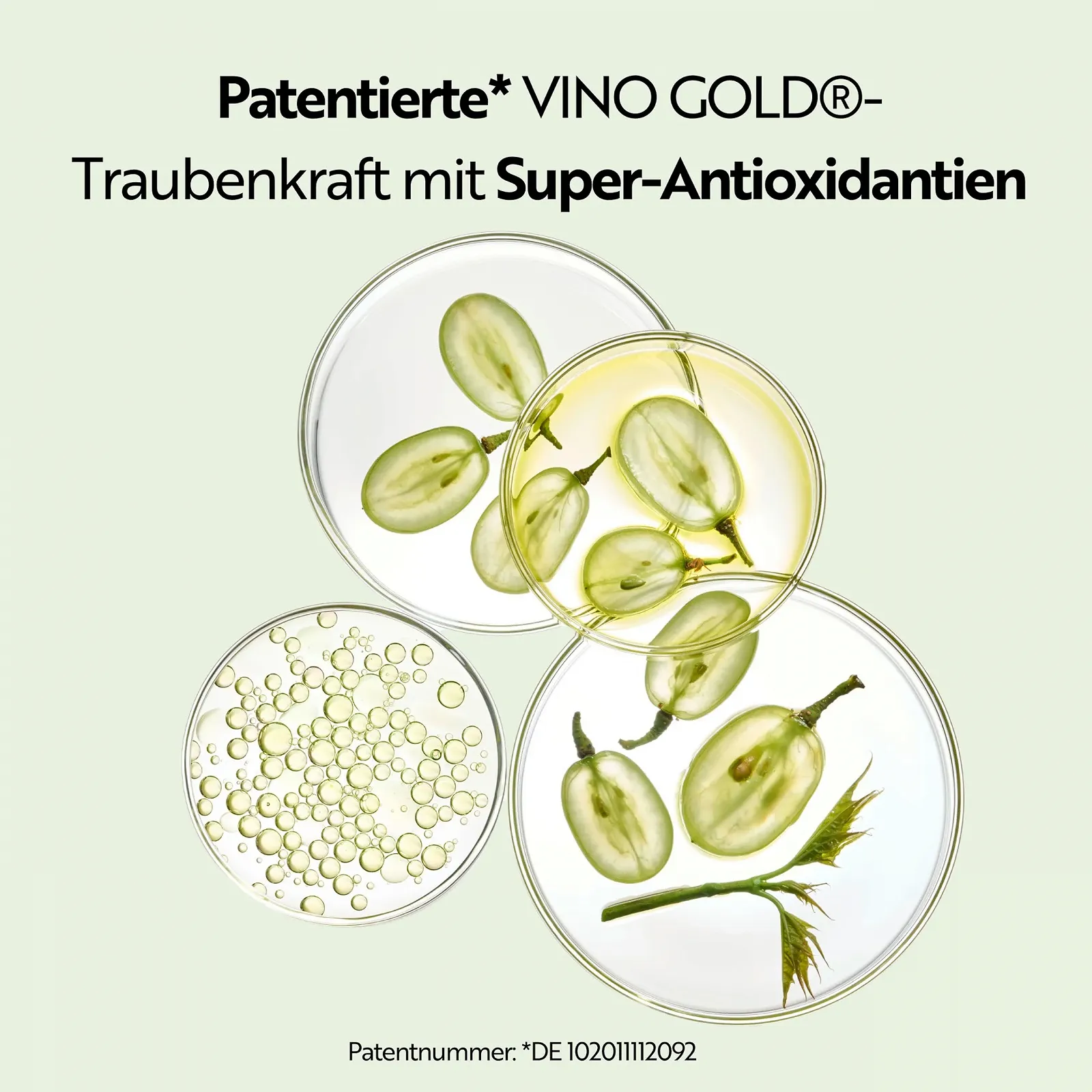 Крем для обличчя M. Asam VINO GOLD 24h 100 мл, фото №6 Крем для обличчя M. Asam VINO GOLD 24h 100 мл, фото №6