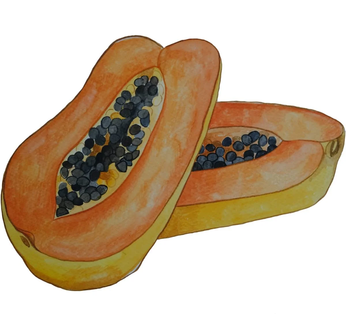 Средство для стоп Nu Skin Epoch Sole Solution 4.2 fl oz, фото №9 Средство для стоп Nu Skin Epoch Sole Solution 4.2 fl oz, фото №9