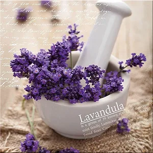 Скляна картина artissimo AG2063A Lavandula I Лаванда 30 x 30 см - Фото 1