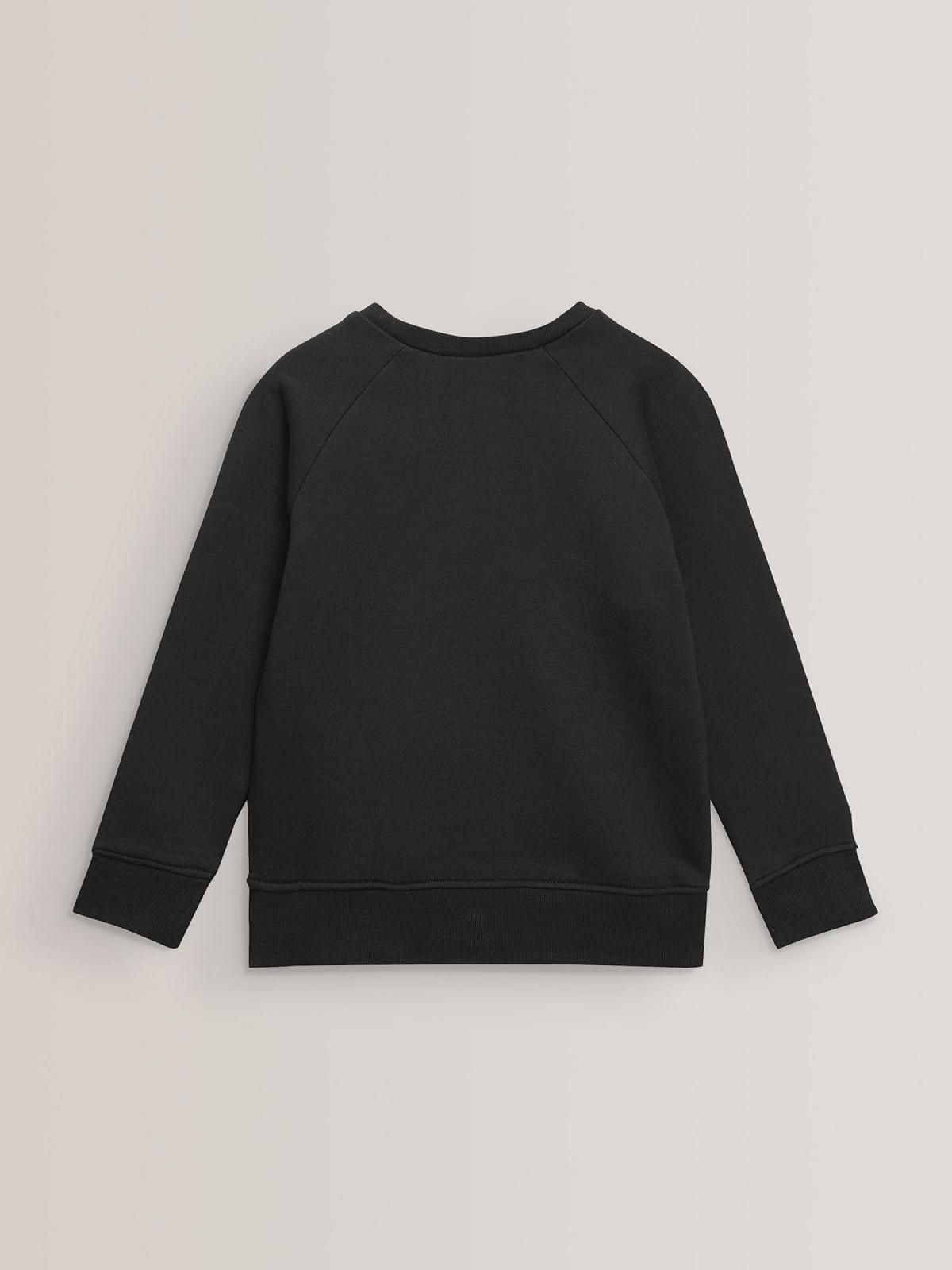 Пуловер NEXT Standard для мальчиков, фото №2