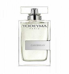 Eau de Parfum Yodeyma Caribbean Для чоловіків 100 мл synthetic.ua - Фото 1