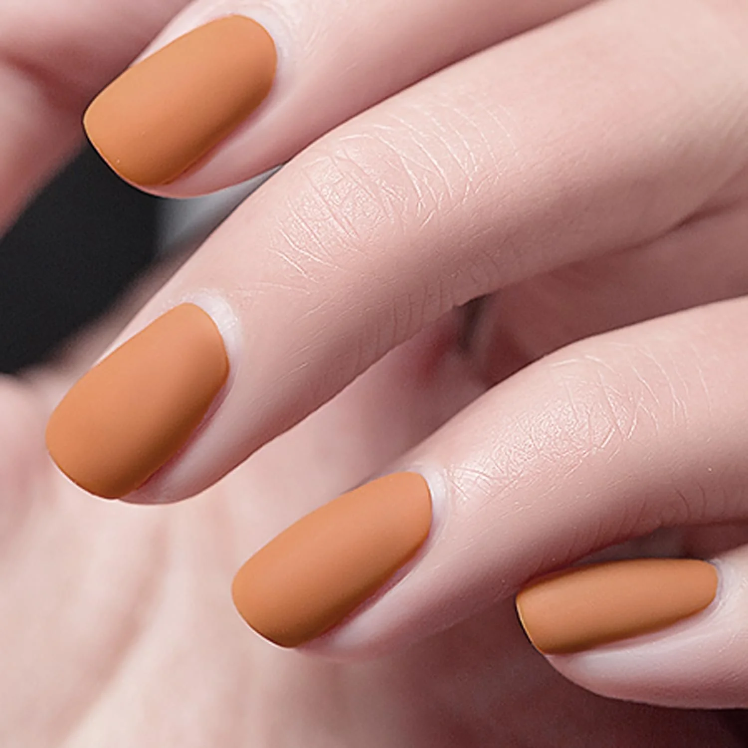 Гель-лак Vishine Набір 4 кольори 8 мл #C042, фото №8