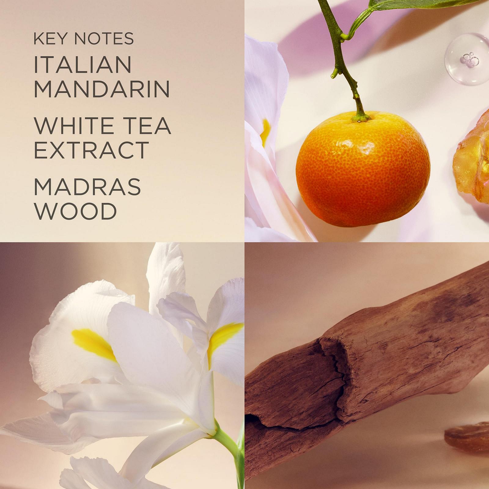 Гель для душа Elizabeth Arden White Tea с экстрактом белого чая для всех типов кожи, фото №3 Гель для душа Elizabeth Arden White Tea с экстрактом белого чая для всех типов кожи, фото №3