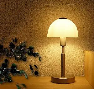 Настільна лампа Dapo MAIOLO Скляна Метал Нікель Опалове скло Біла В 33 см Д 15 см E14 synthetic.ua - Фото 1