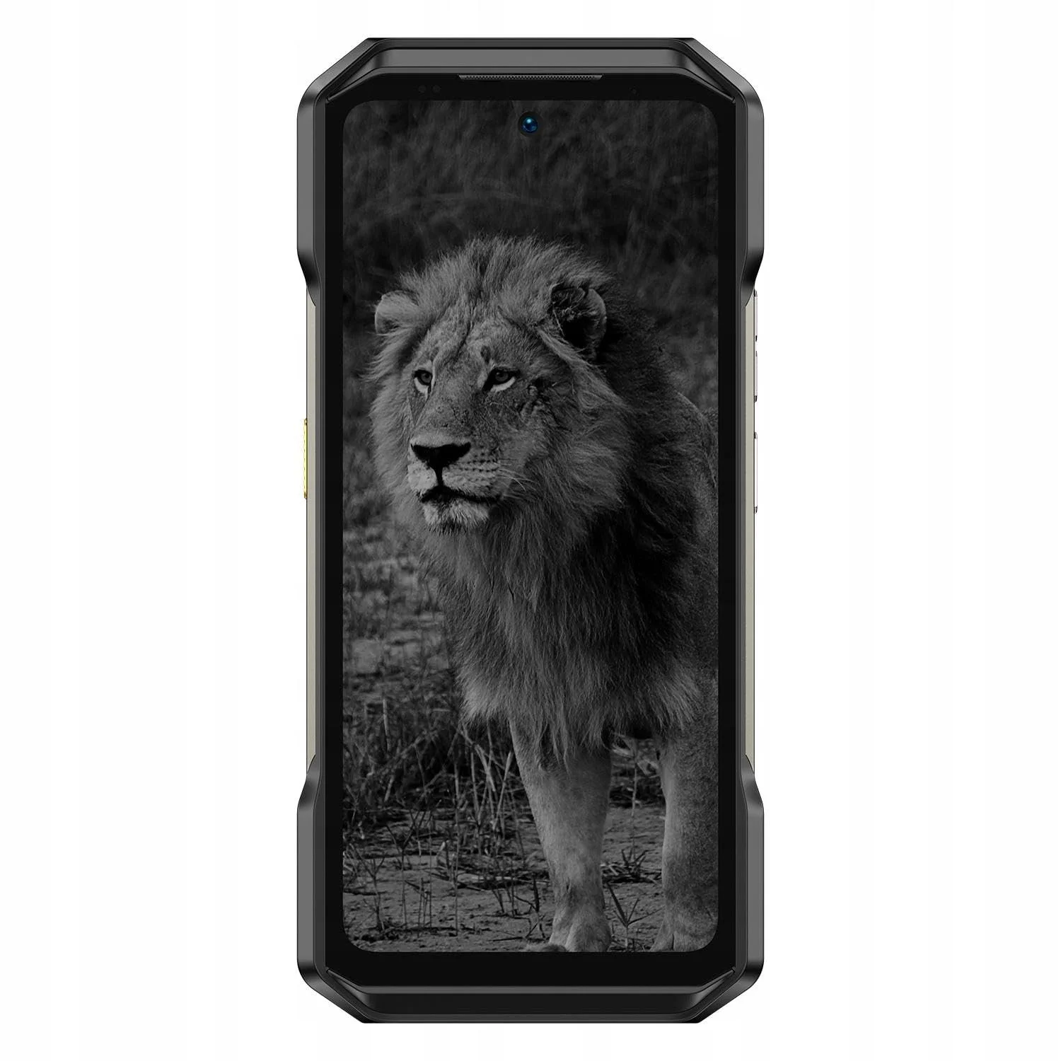Смартфон Ulefone Armor 27 Pro 12/256GB NFC OEM Чорний, фото №1
