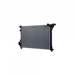 Радиатор охлаждения двигателя HELLA 8MK 366 300-571 - Фото 1