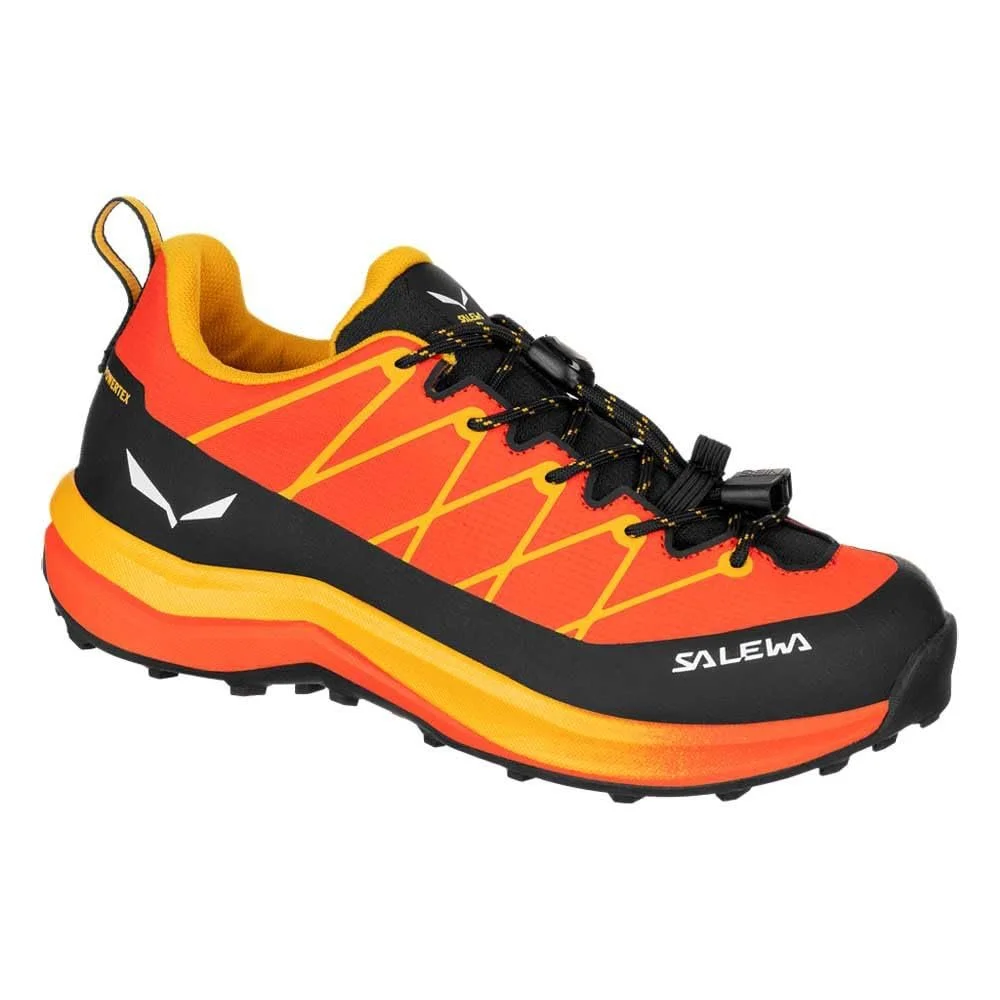 Обувь Salewa Wildfire 2 PTX, фото №1