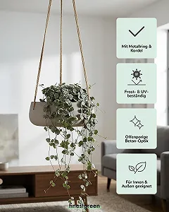 Подвесная чаша для растений Pottery Pots Eileen Grey эффект бетона диаметр 24 см высота 9 см S цена на synthetic.ua - Фото 1 Подвесная чаша для растений Pottery Pots Eileen Grey эффект бетона диаметр 24 см высота 9 см S synthetic.ua - Фото 1