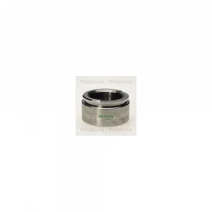 Поршень тормозного суппорта TRISCAN 8170 235709 - Фото 1