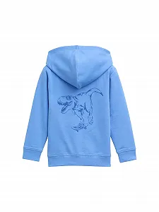 Толстовка TOM TAILOR Детская с принтом synthetic.ua - Фото 1