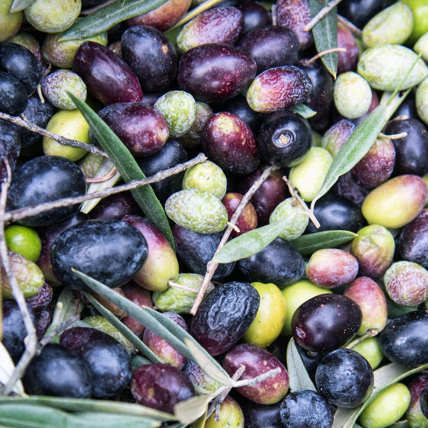 Органический бальзам для ног WELEDA, 75 мл, фото №6