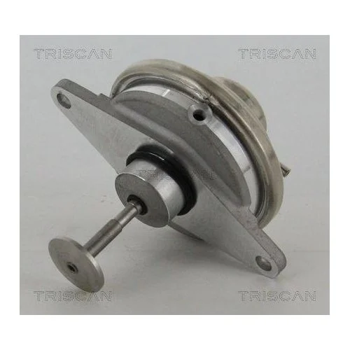 Клапан EGR TRISCAN 8813 24054 для OPEL SAAB VAUXHALL, фото №2