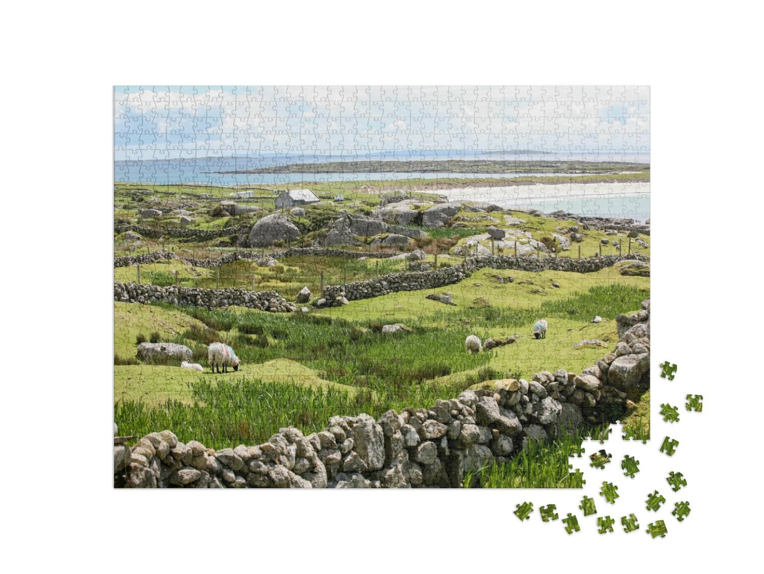 Пазл puzzleYOU Ireland Jigsaw Puzzle Collection Irish Stone Walls on the Coast 1000 элементов, фото №2