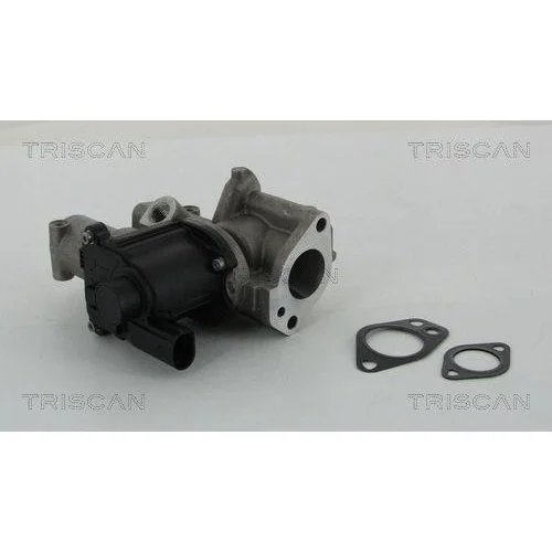 Клапан EGR TRISCAN 8813 29312 для AUDI PORSCHE VW, фото №3