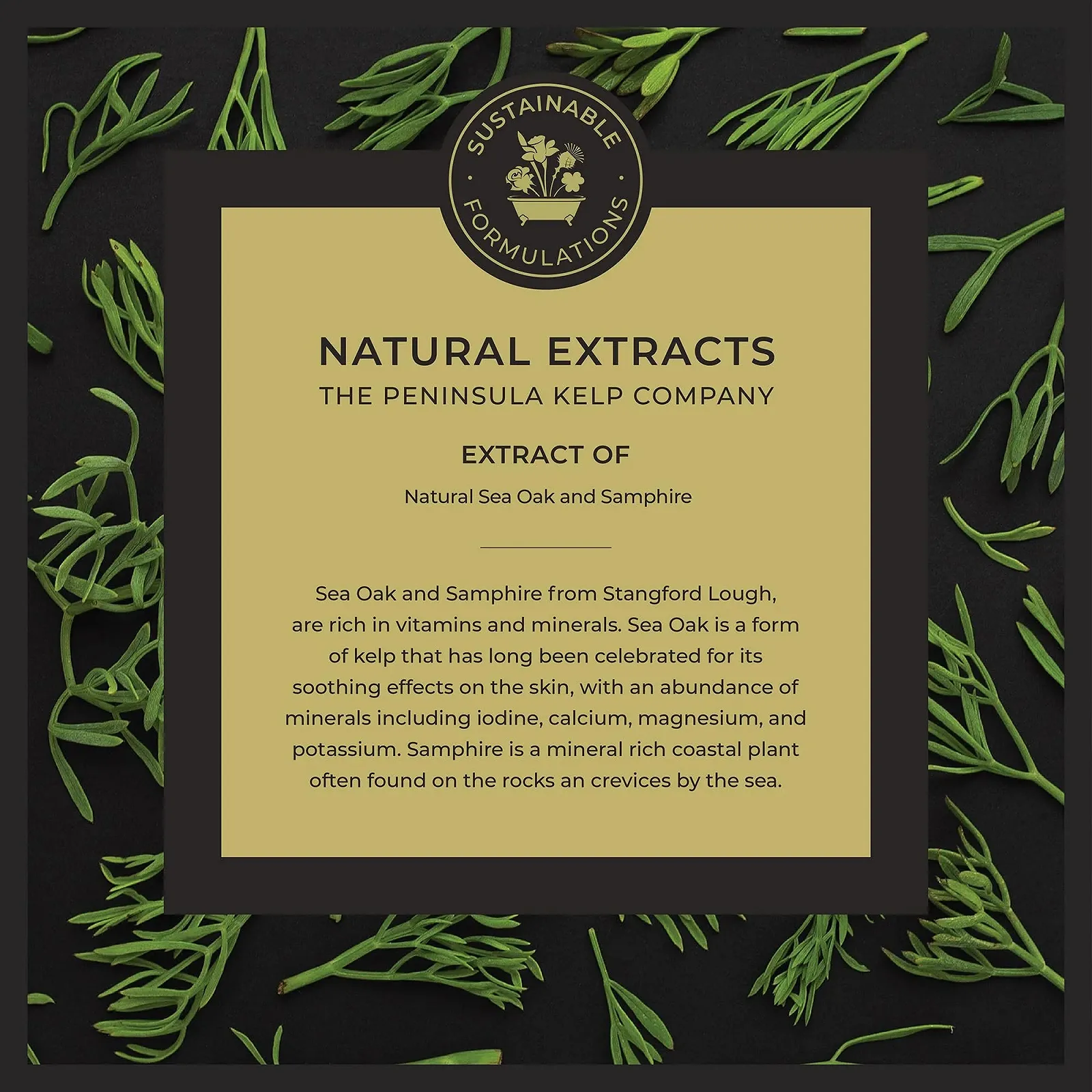 Лосьйон для рук NOBLE ISLE Wild Samphire Luxus, 250 мл, фото №4 Лосьйон для рук NOBLE ISLE Wild Samphire Luxus, 250 мл, фото №4