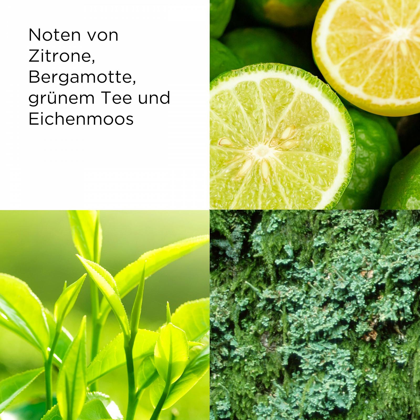 Парфумована вода Elizabeth Arden Green Tea Квітковий Цитрусовий Освіжаючий, фото №4