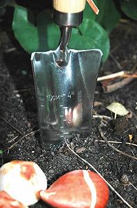 Лопата совковая Esschert Design GT08 32 x 7 x 4см Дерево/Нержавеющая сталь - Коричневый synthetic.ua - Фото 1