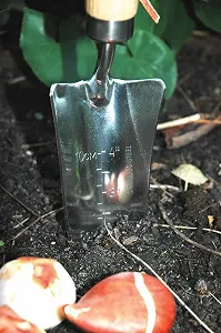 Лопата совковая Esschert Design GT08 32 x 7 x 4см Дерево/Нержавеющая сталь - Коричневый synthetic.ua - Фото 1