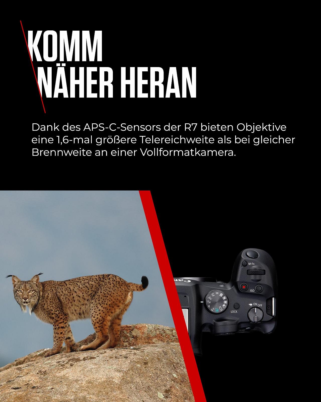 Беззеркальная камера Canon EOS R7 + Объектив RF-S 18-150 мм F3.5-6.3 IS STM (обновление DSLR, гибридная камера, видеозапись 4K/30p, до 15 кадров/с, WiFi) Черный, фото №8 Беззеркальная камера Canon EOS R7 + Объектив RF-S 18-150 мм F3.5-6.3 IS STM (обновление DSLR, гибридная камера, видеозапись 4K/30p, до 15 кадров/с, WiFi) Черный, фото №8