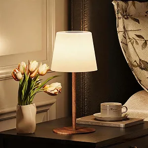 Настільні лампи EZVALO комплект 2 шт. світлодіодні бездротові IP65 USB-C Колір дерева - Фото 1