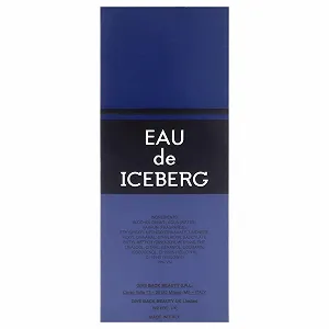 Туалетна вода Iceberg Eau de Iceberg Cedar спрей 100 мл synthetic.ua - Фото 1