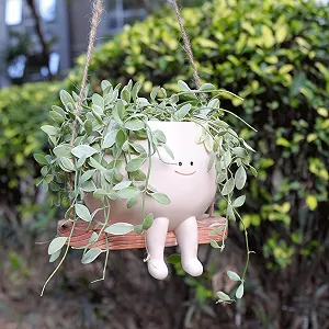 Подвесной вазон-качели Лицо с улыбкой Смола для суккулентов и кактусов - Фото 1