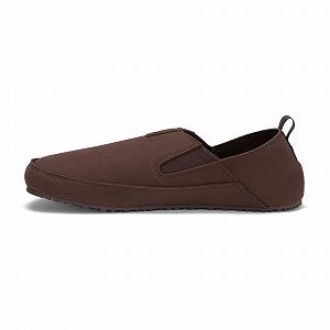 Кроссовки Xero Shoes Sunrise мужские - Фото 1