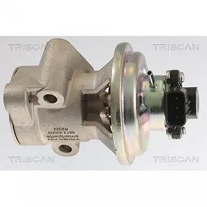 Клапан EGR TRISCAN 8813 42003 для MITSUBISHI synthetic.ua - Фото 1
