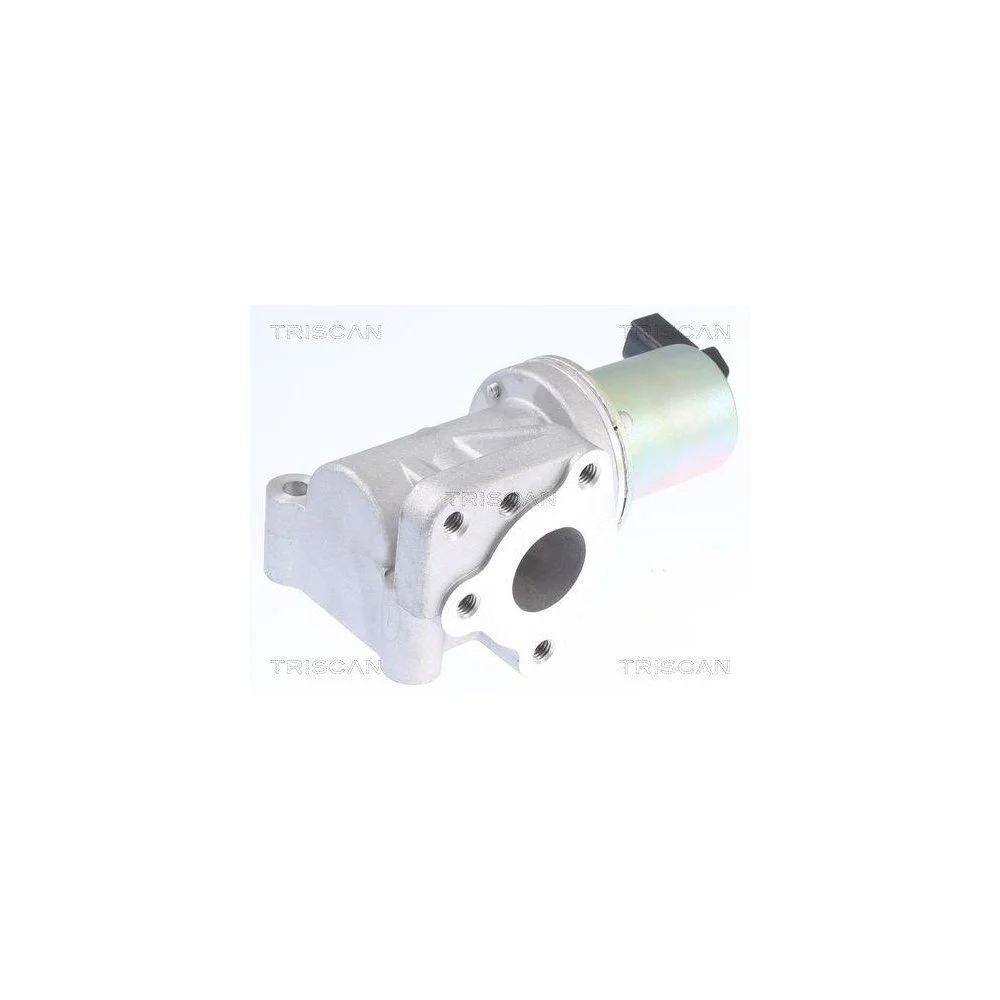 Клапан EGR TRISCAN 8813 43015 HYUNDAI, фото №1