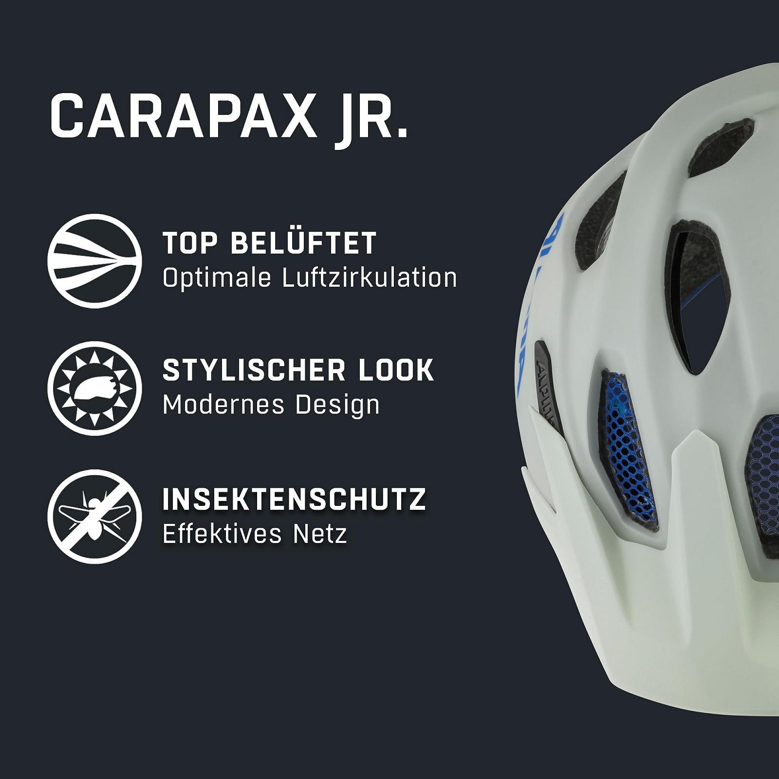 Шлем ALPINA Carapax JR. Серо-дымчатый Синий матовый, фото №2