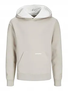 Худі JACK&JONES JUNIOR Jjelegacy Sweat Hood Noos Jnr для хлопчиків - Фото 1