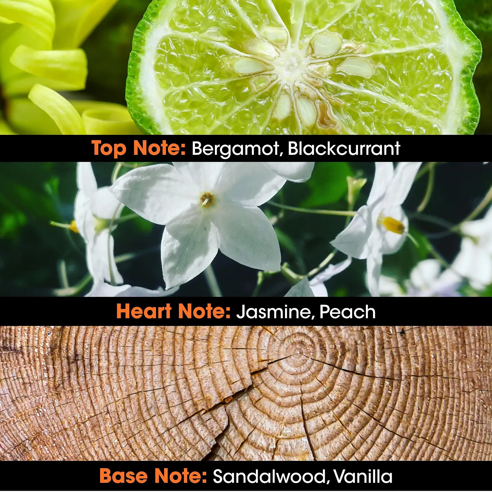 Парфумована вода JEANNE ARTHES Sultans Квітковий, Сандал і Мускус 100 мл, фото №2