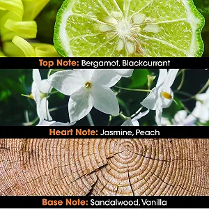 Парфюмированная вода JEANNE ARTHES Sultans Цветочный, Сандал и Мускус 100 мл цена на synthetic.ua - Фото 1 Парфюмированная вода JEANNE ARTHES Sultans Цветочный, Сандал и Мускус 100 мл synthetic.ua - Фото 1