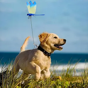 Декоративні затискачі Бабки для саду, тераси та вулиці synthetic.ua - Фото 1