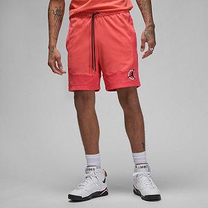 Шорти чоловічі Jordan Flt Mvp Mesh Short F2 (DX9722-814) M - Фото 1