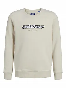 Детский свитшот JACK & JONES Jorvesterbro Newton BRNDG SW CN BF JNR - Фото 1