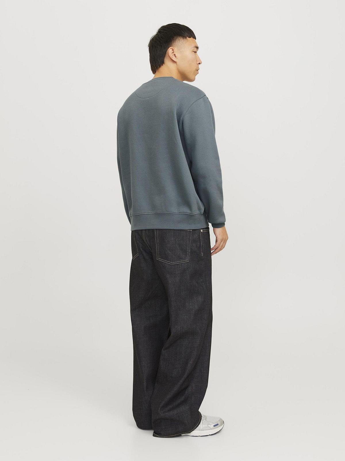 Світшот JACK & JONES Jorvesterbro Crew Neck Noos Чоловічий, фото №4