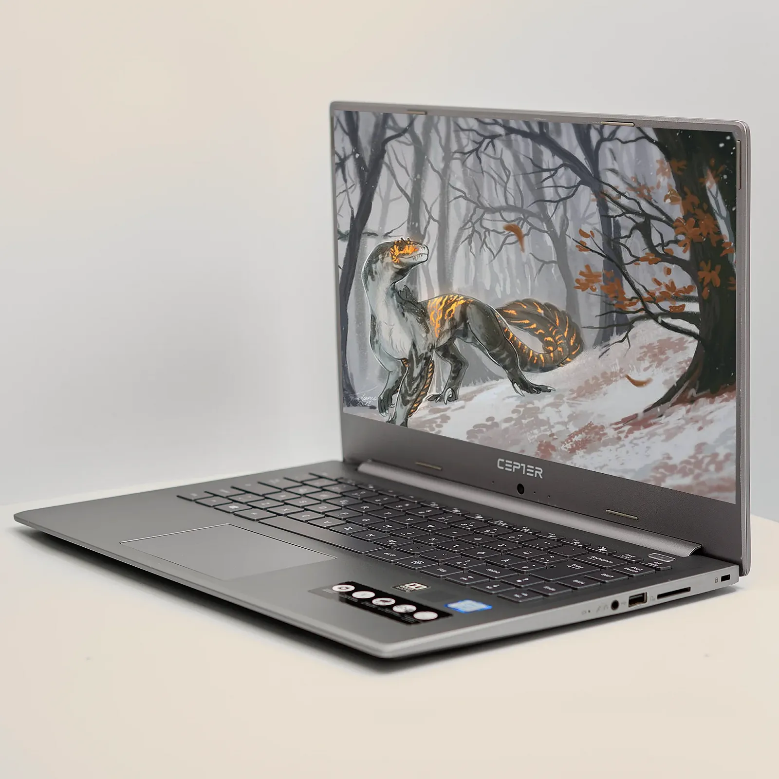 Ноутбук 15.6'' Medion (Lenovo Group) Akoya P15649 | Intel Core i5-8265U | IPS (1920x1080) FullHD | RAM 8 ГБ | SSD 256 ГБ | Intel UHD Graphics 620 | Металевий корпус | Win11 (5015), фото №3