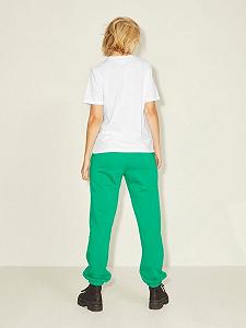 Штани JXALBERTE REL EVERY PANTS NOOS 12200298-Jolly Green JJXX Зелений M synthetic.ua - Фото 1