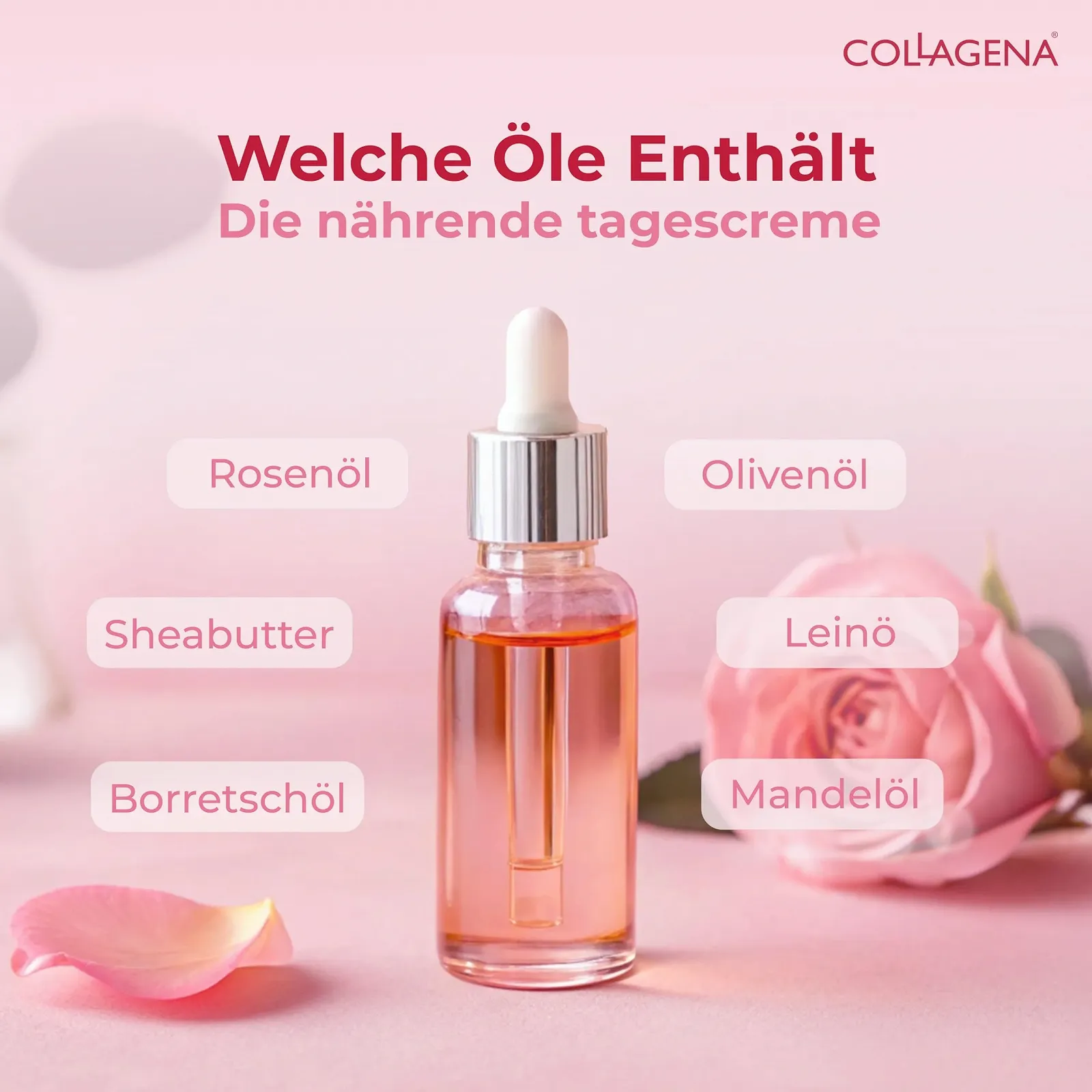 Денний крем для обличчя COLLAGENA Rose Essential Day Cream з трояндовою олією та пептидами колагену зволожуючий 50 мл, фото №3 Денний крем для обличчя COLLAGENA Rose Essential Day Cream з трояндовою олією та пептидами колагену зволожуючий 50 мл, фото №3