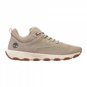 Кроссовки Timberland Winsor Park ex91 Light Low Бежевый - Фото 1